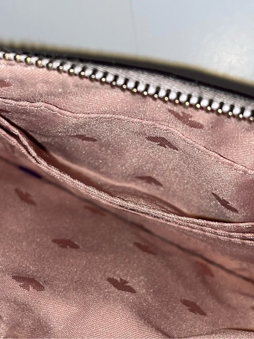 KATE SPADE NEW YORK Shore Street Tinie Champagne Bottles wristlet